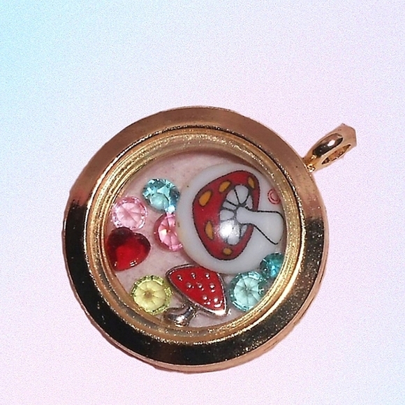 Floating Charms in Story Locket Memory Pendant Choice - Picture 6 of 16